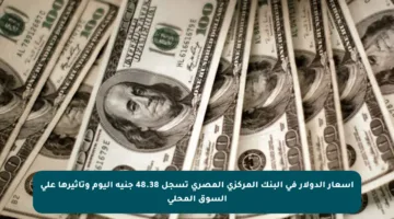 أسعار الدولار في البنك المركزي المصري تسجل 48.38 جنيه اليوم وتأثيرها على السوق المحلي